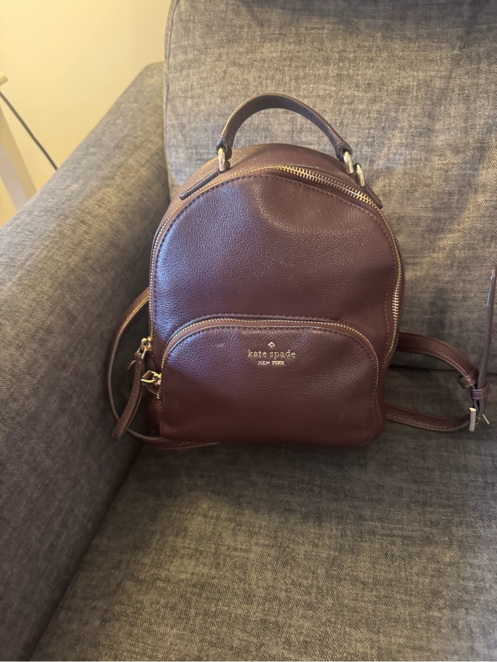 kate spade burgundy pebble leather mini backpack